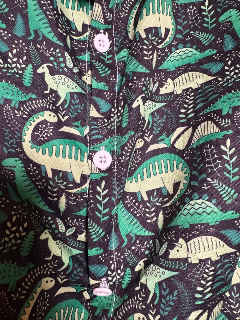 Kids Green Dinosaur Set